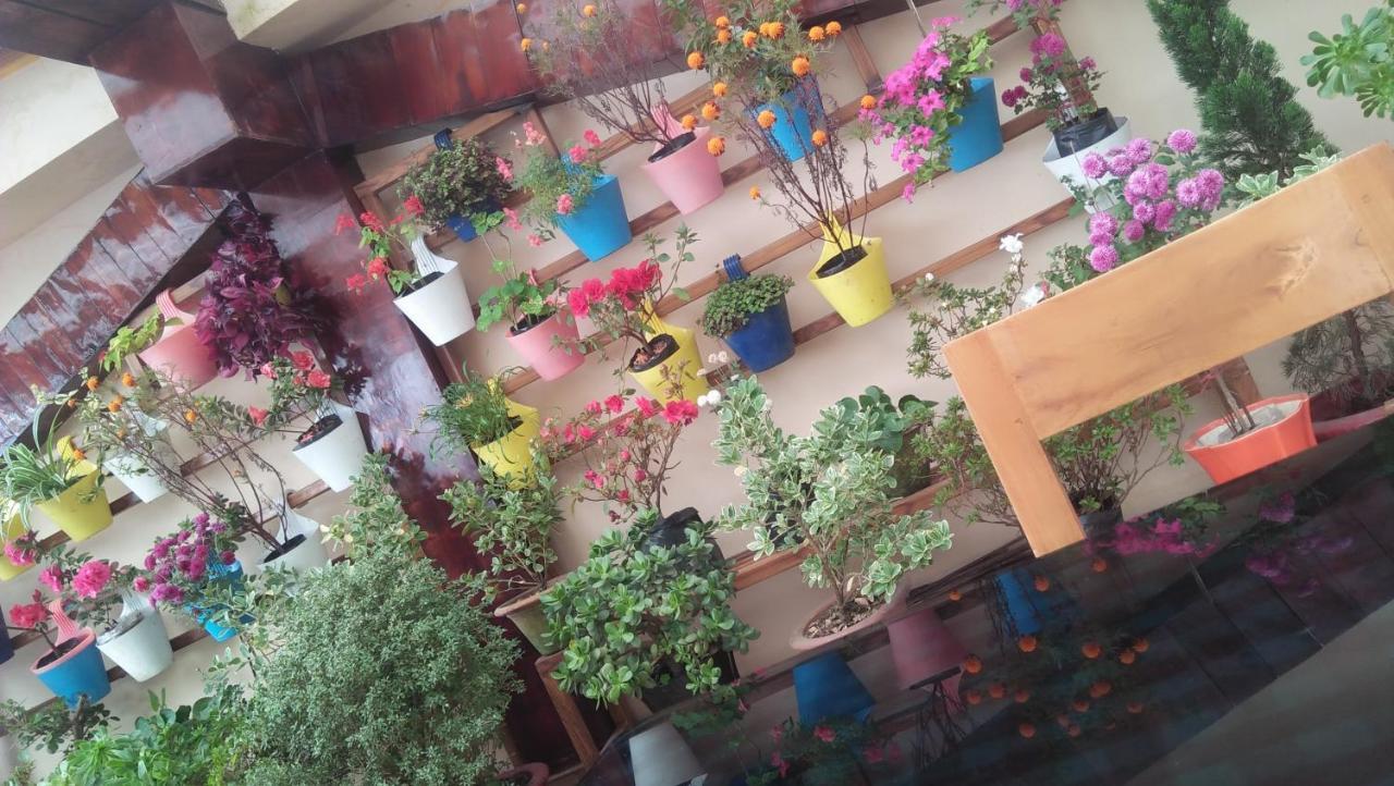 shalom inn home stay Darjeeling  Eksteriør bilde