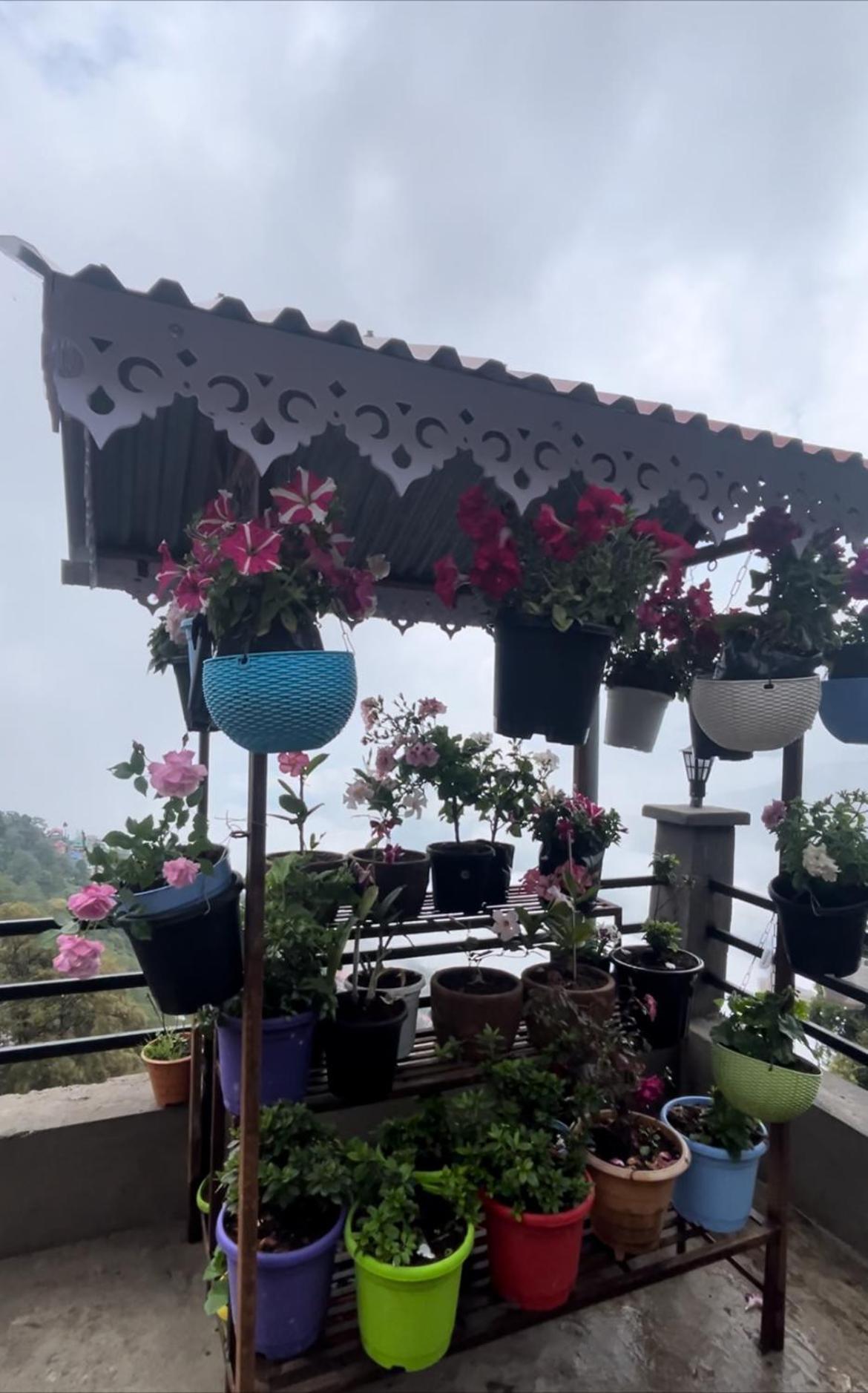 shalom inn home stay Darjeeling  Eksteriør bilde
